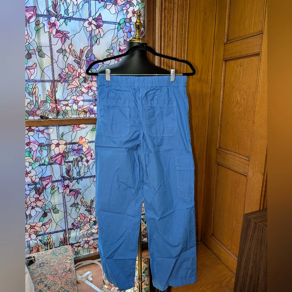 Aerie Blue Cargo Pants - Picture 3 of 3